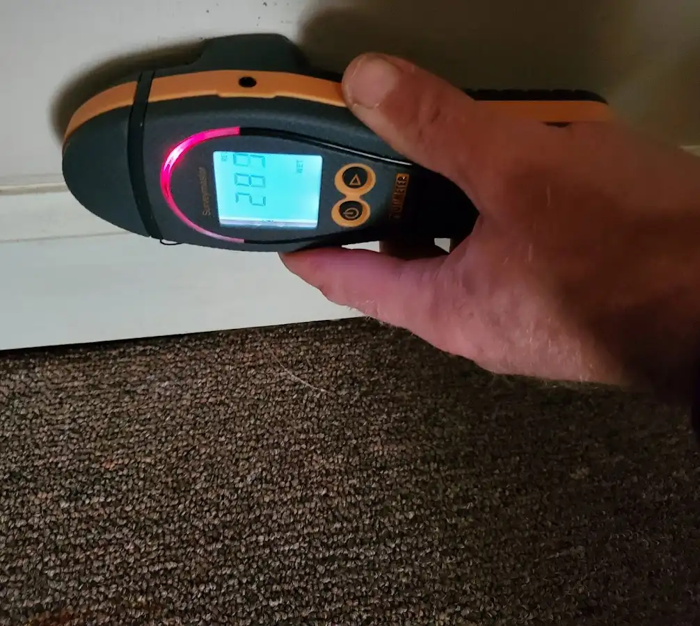 Moisture detection at baseboard during Burst Pipe Cleanup in Madera Acres